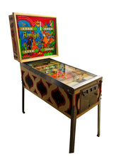 Download billedet til gallerifremviseren, Amigo Flipper