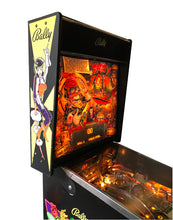 Download billedet til galleri fremviseren, Party zone flipper