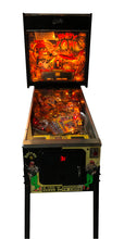 Download billedet til galleri fremviseren, Party zone flipper