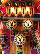 Download billedet til galleriet seeren, Playboy Flipper