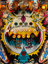 Download billedet til Galleri Viewer, Silverball Mania Flipper