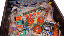 Load the picture into the gallery viewer, Checkpoint Flipper