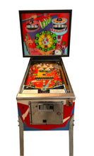 Load the picture into the gallery viewer, Expo Flipper