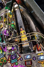 Upload the picture to the gallery viewer, The Munsters Pro Flipper