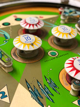 Upload the picture to the gallery viewer, Pot 'O' Gold Flipper
