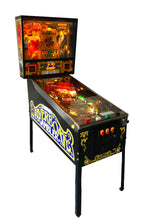 Upload the picture to the gallery viewer, Riverboat Gambler Flipper