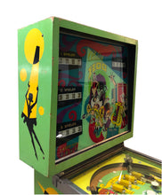 Laden Sie das Bild in den Galerie-Viewer, Bally Hoo Flipper