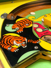 Laden Sie das Bild in den Galerie-Viewer, Bally Hoo Flipper