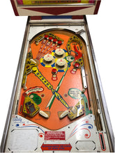 Laden Sie das Bild in den Galerie-Viewer, Discotek Flipper