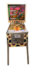 Laden Sie das Bild in den Galerie-Viewer, Fiesta Flipper