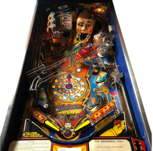 Laden Sie das Bild in den Galerie-Viewer, Fun House Flipper