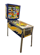 Laden Sie das Bild in den Galerie-Viewer, Hi-Score Flipper
