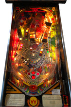 Laden Sie das Bild in den Galerie-Viewer, Hurricane Flipper