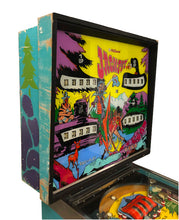 Laden Sie das Bild in den Galerie-Viewer, Jackpot Flipper