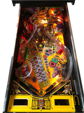 Laden Sie das Bild in den Galerie-Viewer, Party Zone Flipper