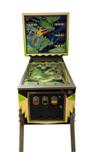 Upload the picture to the gallery viewer, Alligator Pinball