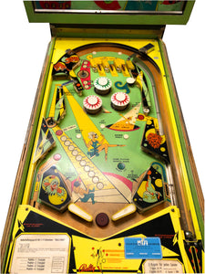 bally hoo pinball machine