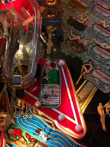Playboy 35th Anniversary Flipper